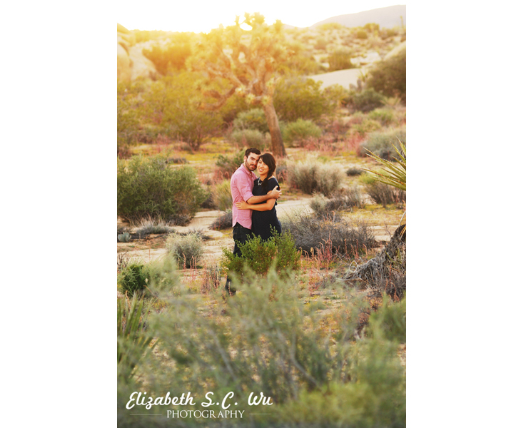 Mayon and Martin - Engagement in Joshua Tree