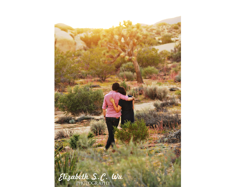 Mayon and Martin - Engagement in Joshua Tree