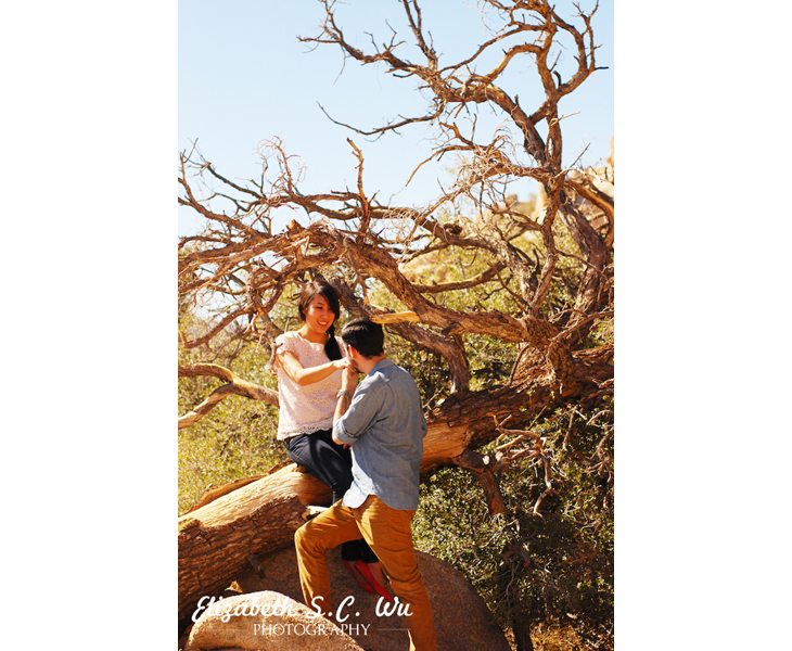 Mayon and Martin - Engagement in Joshua Tree